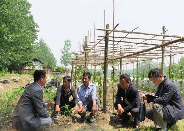 巡查组田间了解问题线索